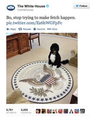 Illustration for article titled The White House made a Mean Girls joke on Twitter